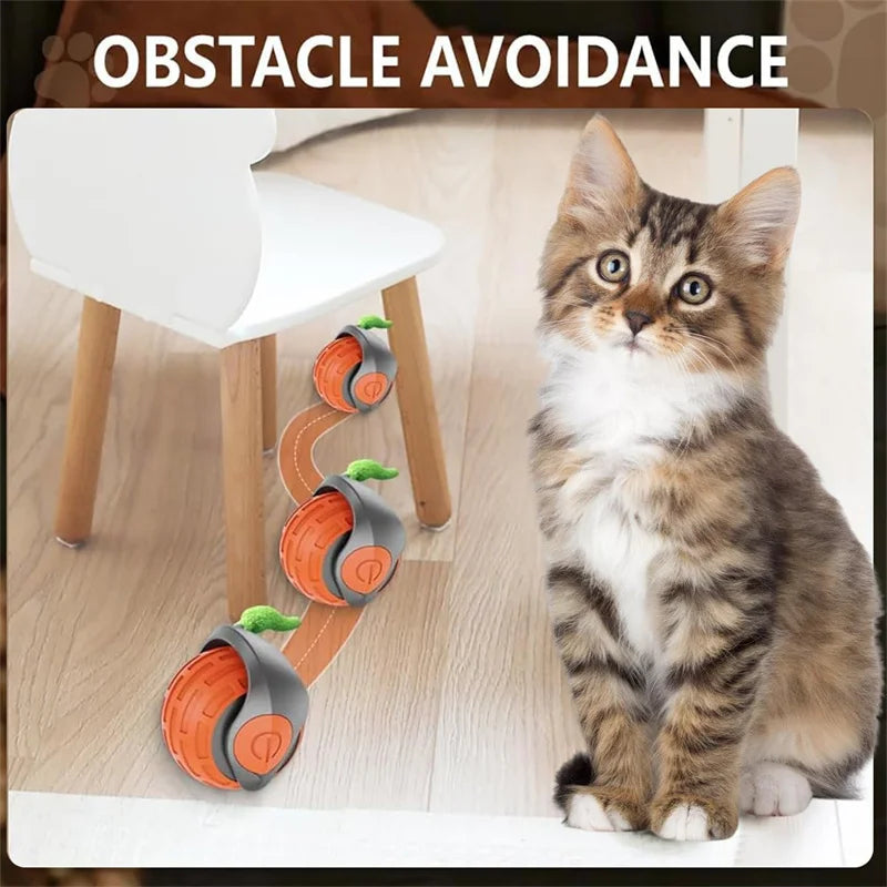 Smart Cat Toys Ball