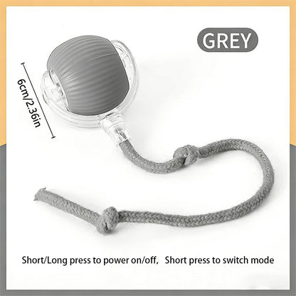 Smart Cat Toys Ball
