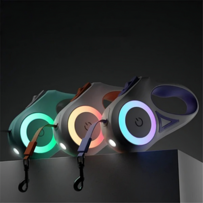 Pet Flexi Walking Running Lead