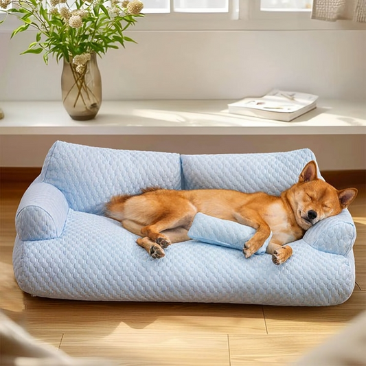 All Seasons Pet Sofa