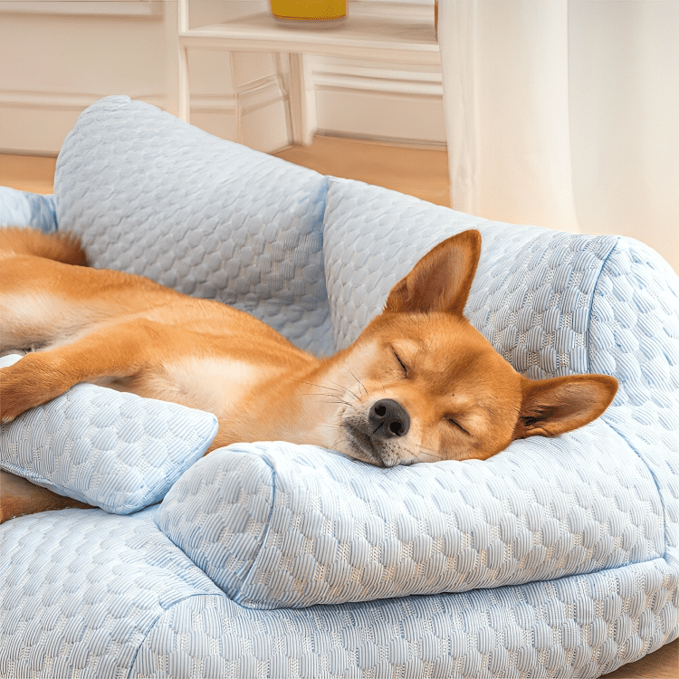 All Seasons Pet Sofa - Fluffzy