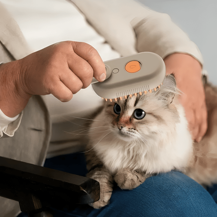 Cat Hair Remover Steam Brush - Fluffzy