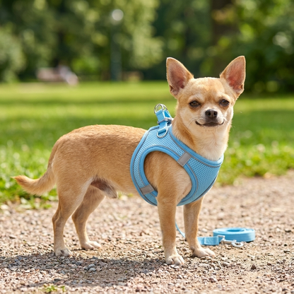 Reflective Pet Harness