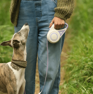 Pet Flexi Walking Running Lead - Fluffzy