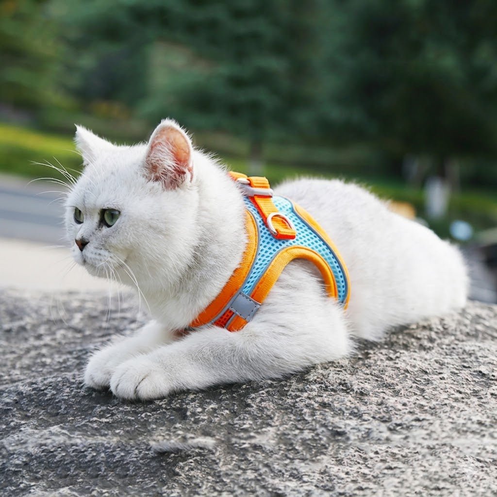 Reflective Pet Harness Dogs Strap - Fluffzy
