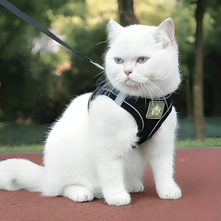 Reflective Pet Harness Dogs Strap - Fluffzy