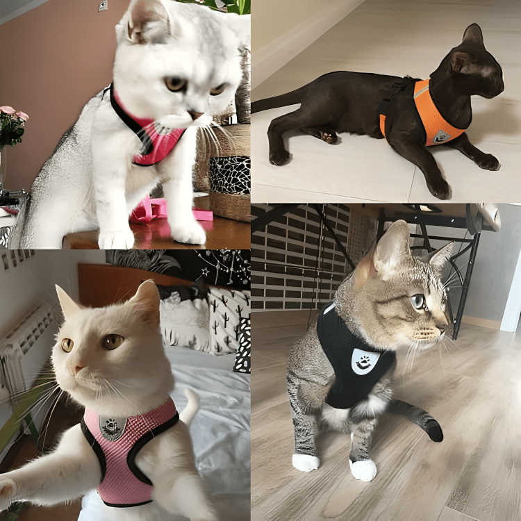 Reflective Pet Harness Dogs Strap - Fluffzy