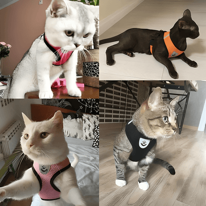 Reflective Pet Harness Dogs Strap - Fluffzy