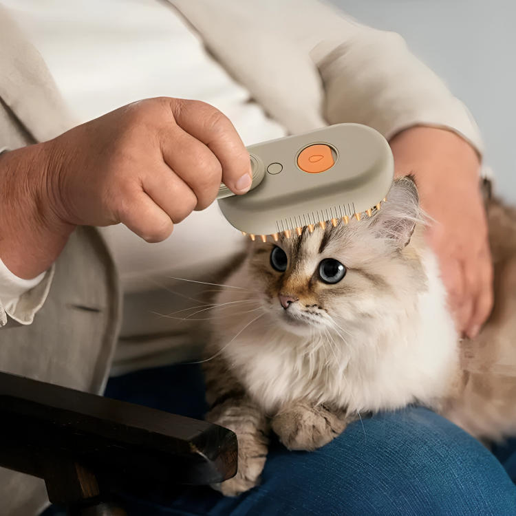 Cat Hair Remover Steam Brush