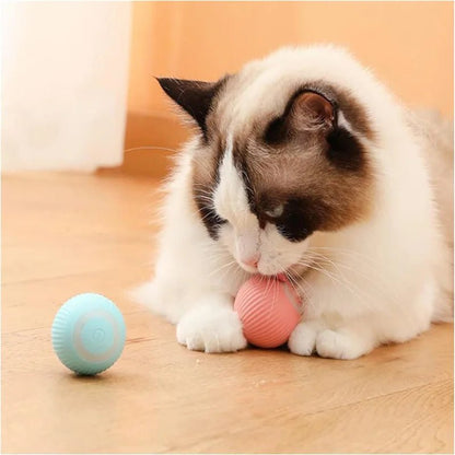 Smart Cat Toys Ball - Fluffzy
