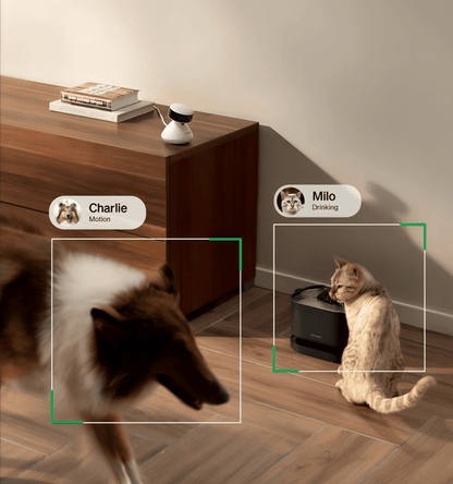 Smart Pet Camera - Fluffzy